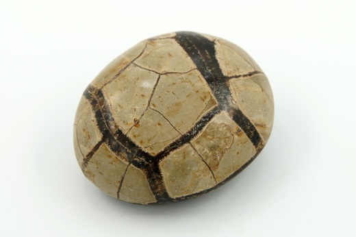Septárie 6,8 cm
