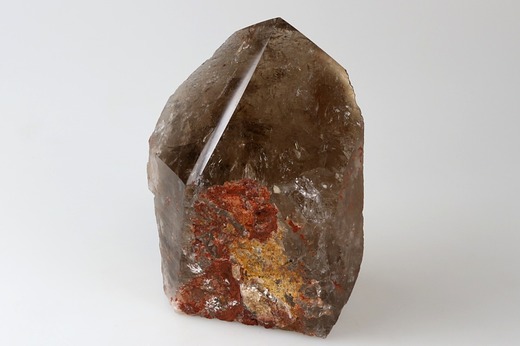 Záhněda špice 9,6 cm