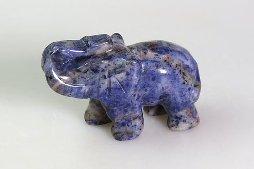 Slon sodalit
